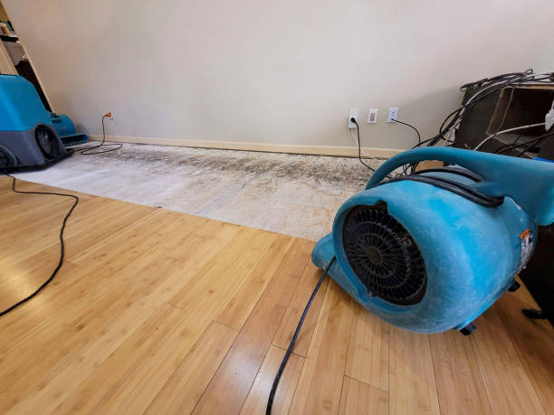 Professional Basement Flood Cleanup technician working in Colfax, WA